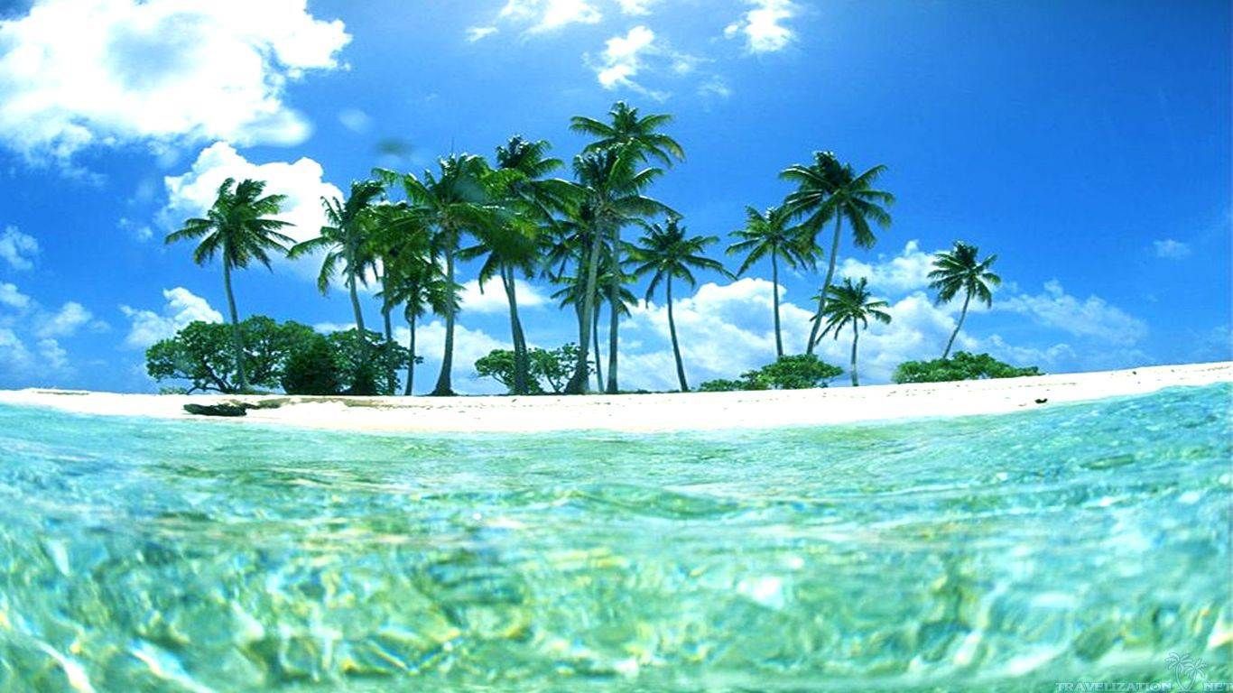 load tropical island animated wallpaper